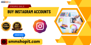 Buy Instagram Accounts Buy Instagram Accounts