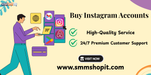 Buy Instagram Accounts Buy Instagram Accounts